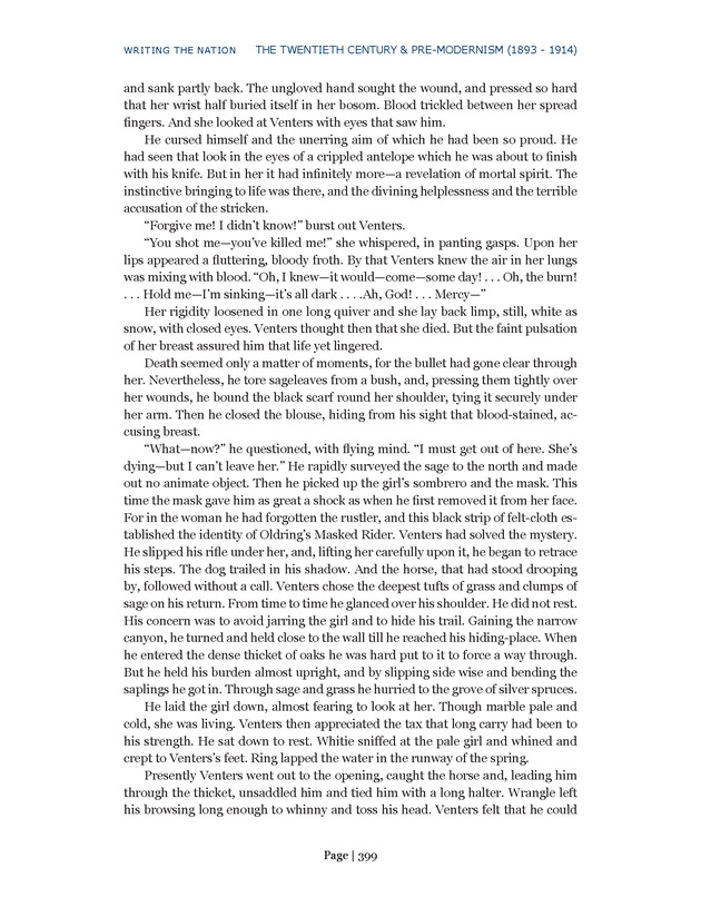Writing the Nation - Page 399